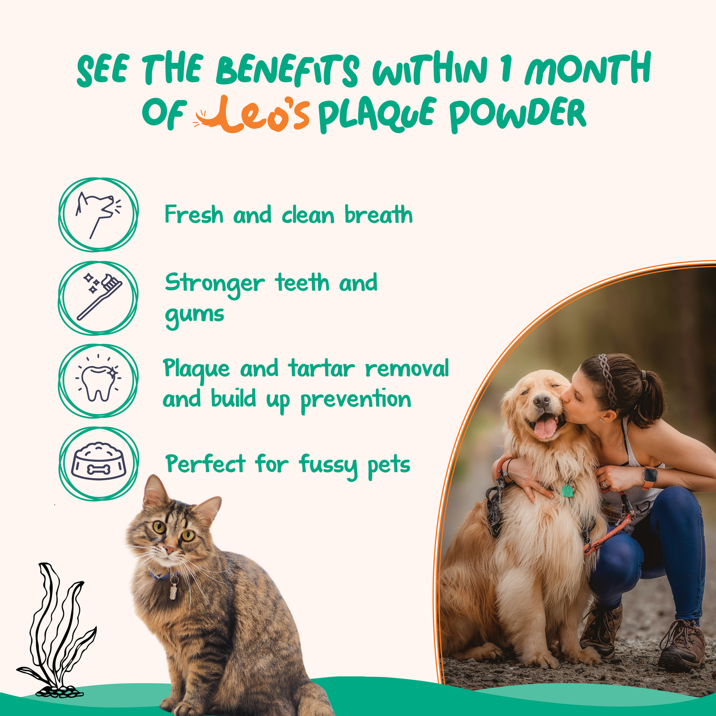 Wellness Bundle