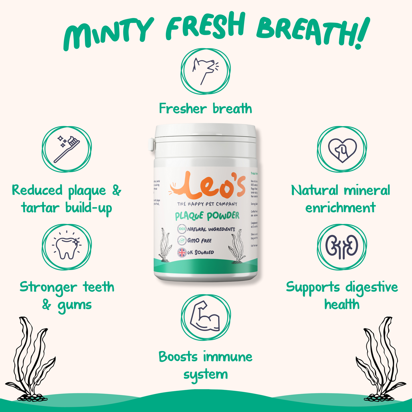 Wellness Bundle