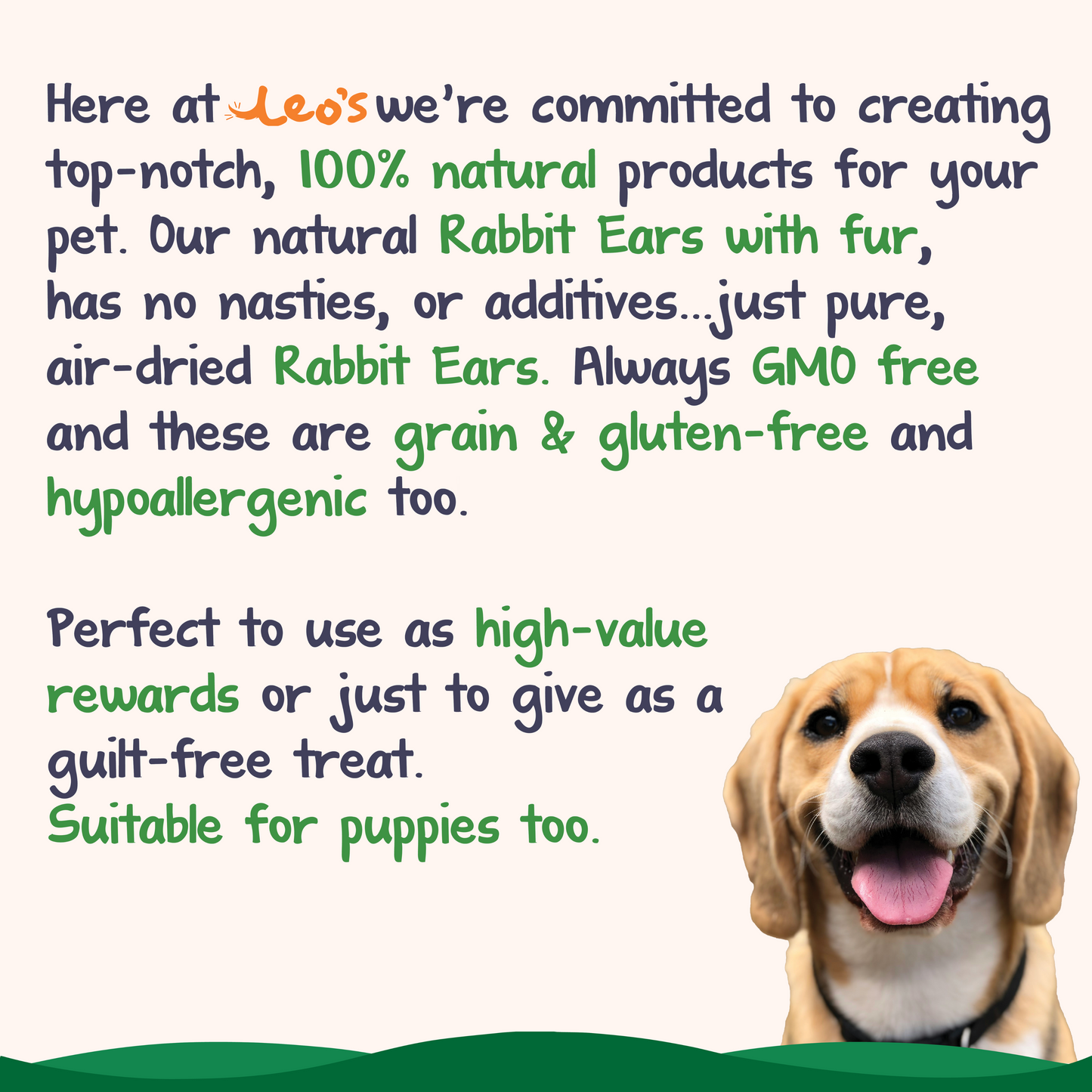 Rabbit Ears with Fur