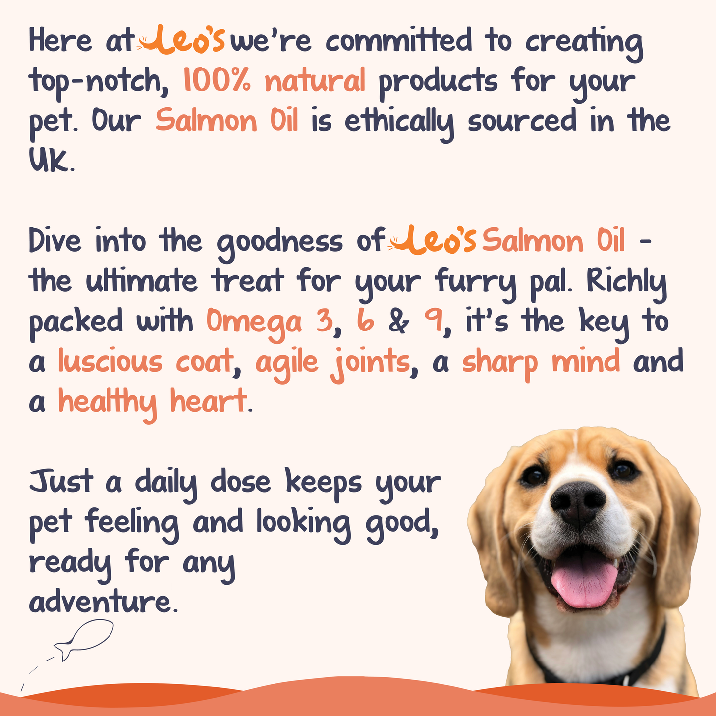 Pure Scottish Salmon Oil
