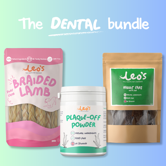 Dental bundle