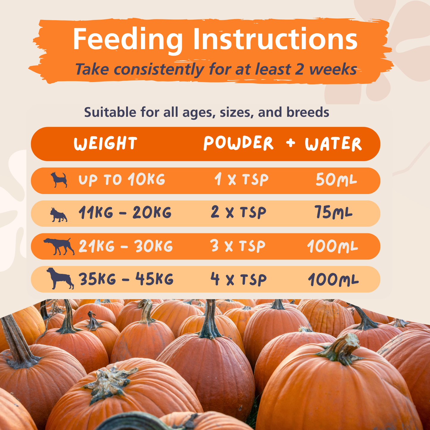 Pure Pumpkin Powder