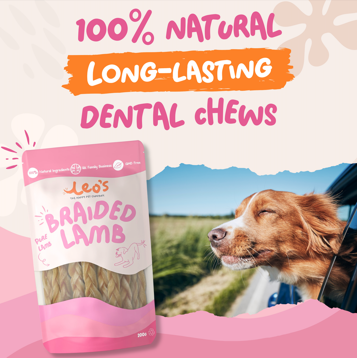 Natural Chews Bundle