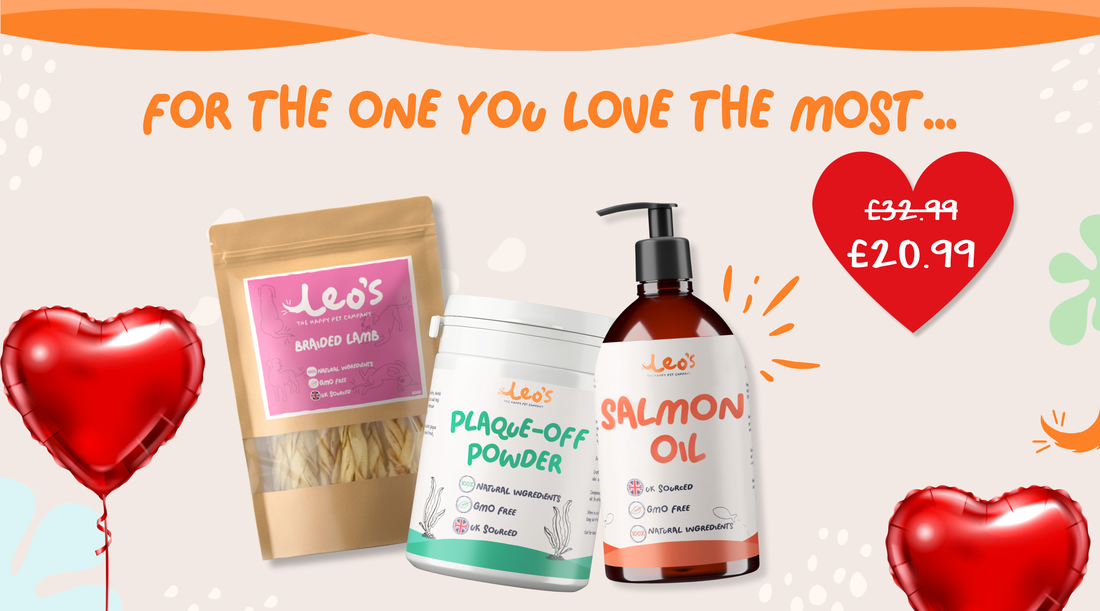 Leo’s – The Happy Pet Co. | Natural Treats, Supplements & Pet Care Tips