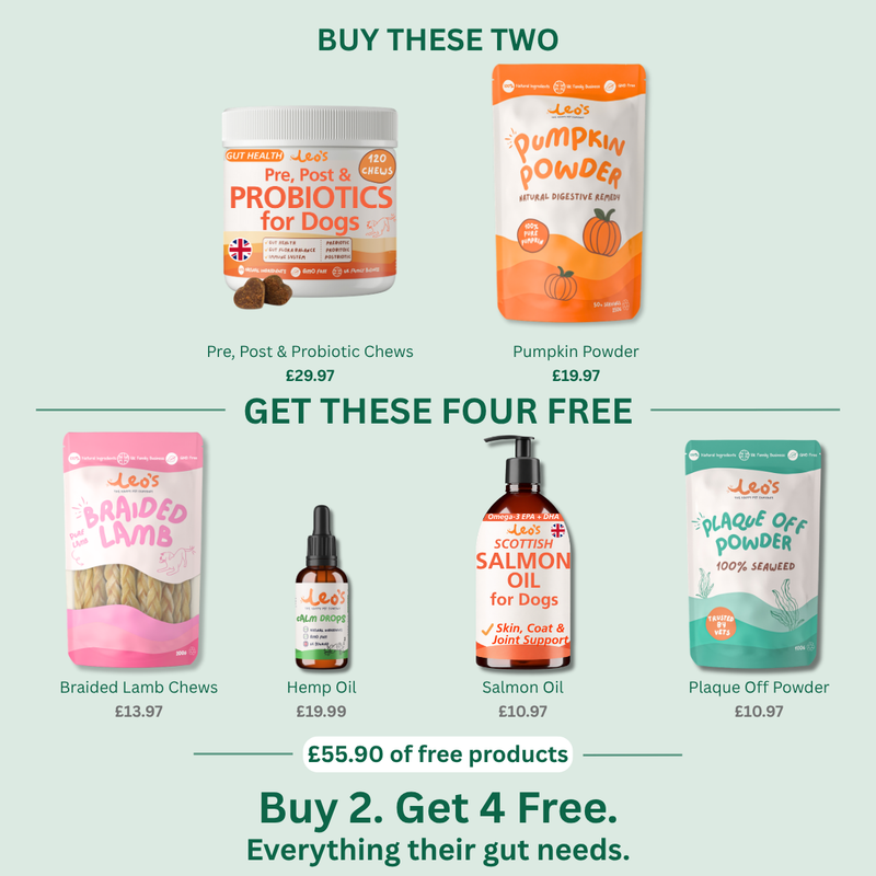 Gut Support Pack
