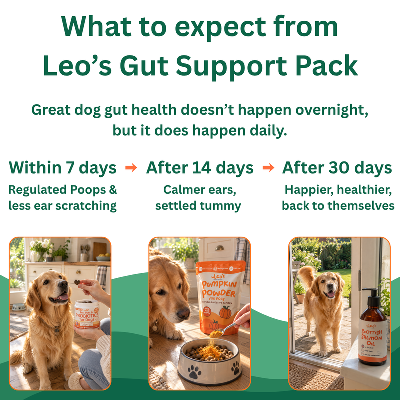 Gut Support Pack
