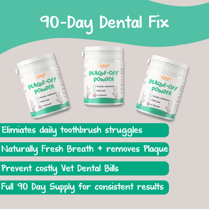 The Transformation Pack