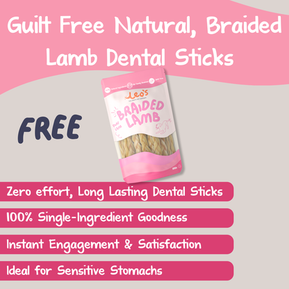 The Transformation Pack