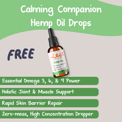 The Transformation Pack