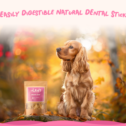 100% Natural Chews Bundle