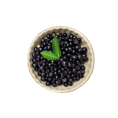 Maqui Berry