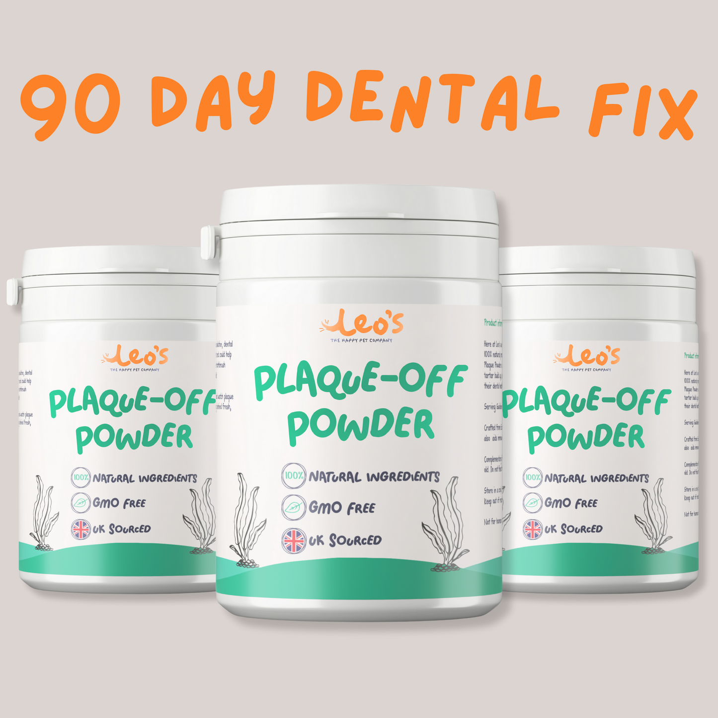 The Transformation Pack