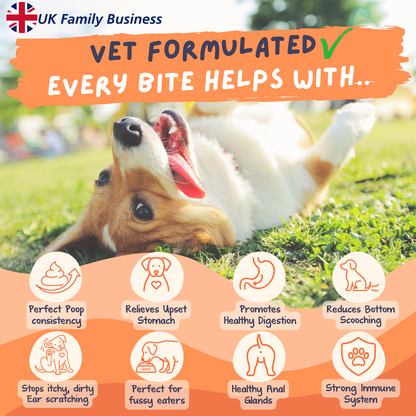 Pre, Post,& Probiotic Chews for Dogs (120)