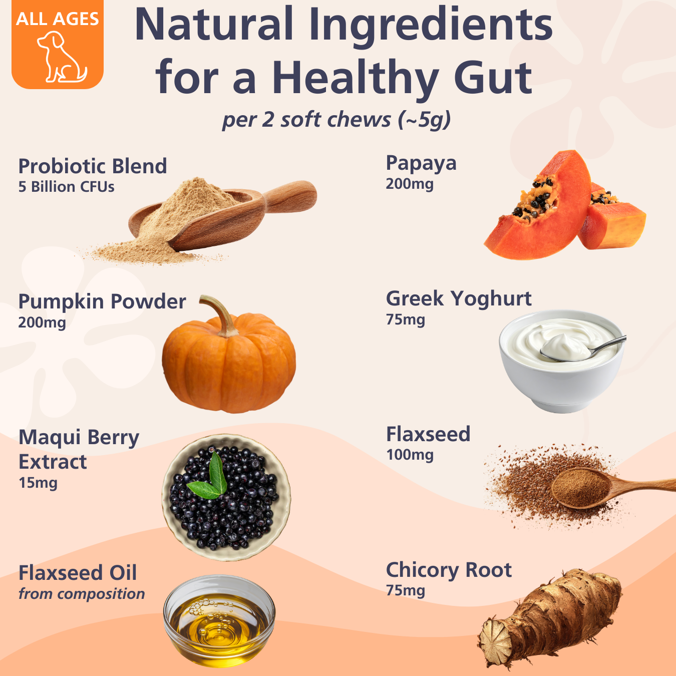 Pre, Post,& Probiotic Chews for Dogs (120)