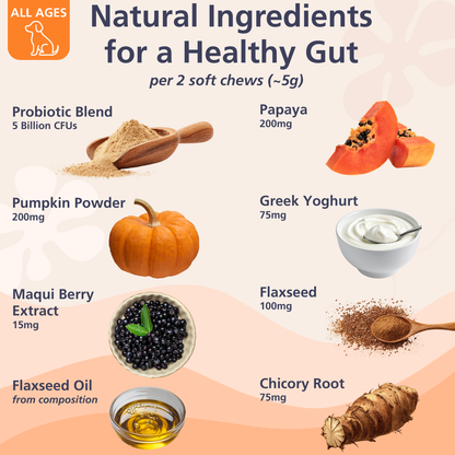 Pre, Post,& Probiotic Chews for Dogs (120)
