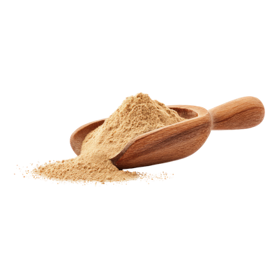 Probiotic Blend
