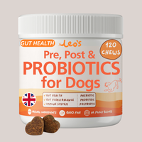 Pre, Post & Probiotic Chews