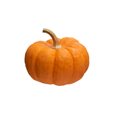 Pumpkin Powder