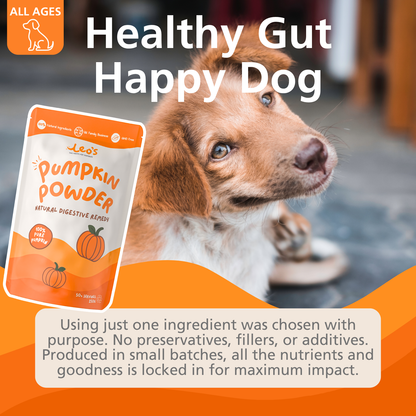 Pure Pumpkin Powder