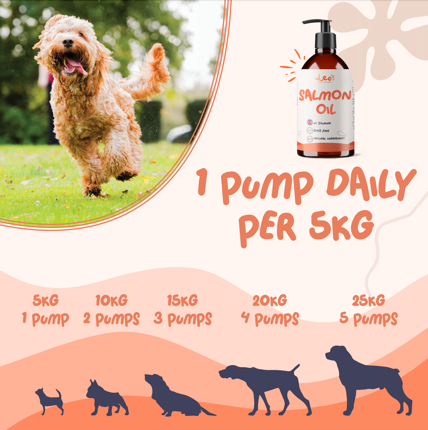 Pure Scottish Salmon Oil