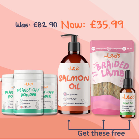 The Transformation Pack